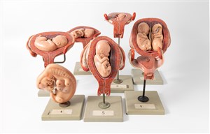 Image description is not available for 2011.5.2